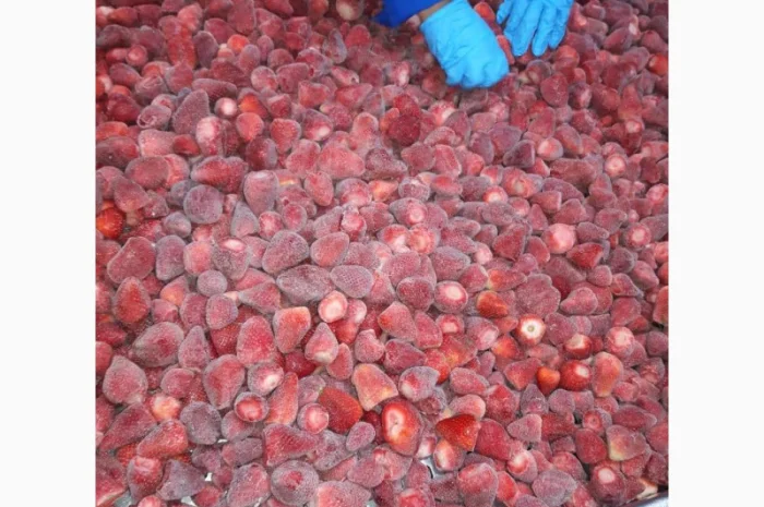 Полуниця Єгипет заморозка- фото № 6