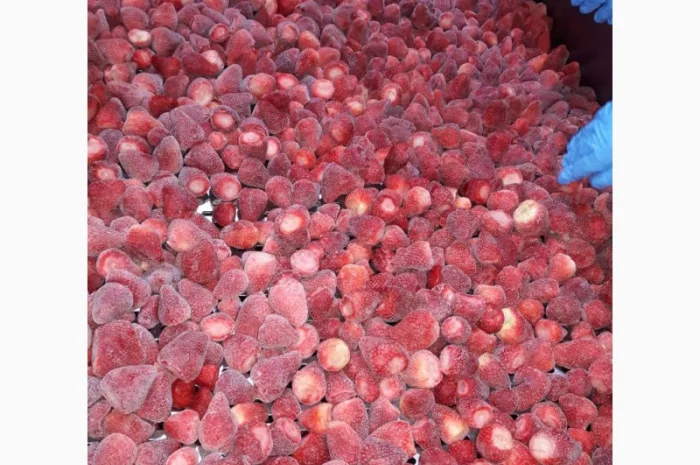 Полуниця Єгипет заморозка- фото № 8