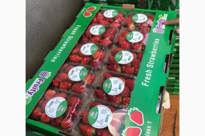 Клубника, Фортуна- фото № 1