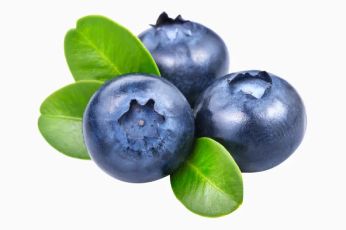 Лохина заморожена – закупівля ягоди- фото № 1