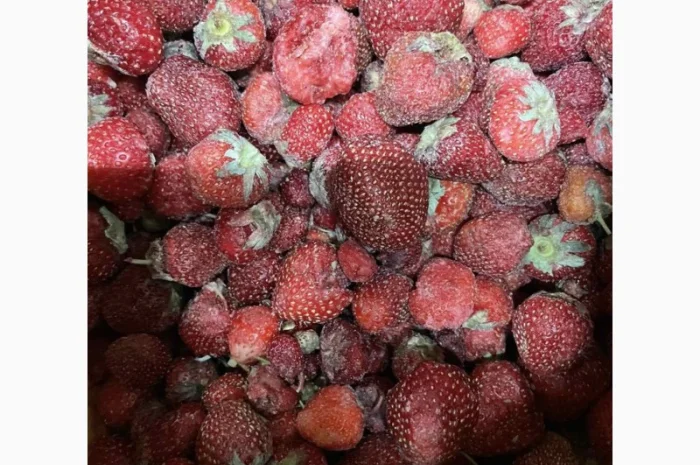 Продам полуницю з хвостом від 5 т- фото № 1