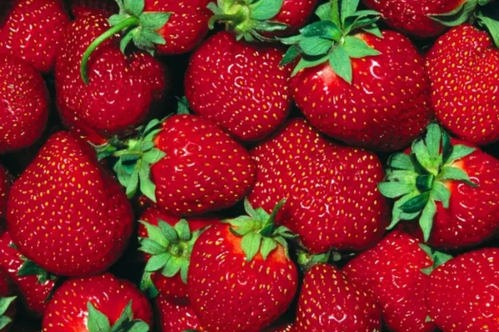 Купим клубнику в по Украине- фото № 1