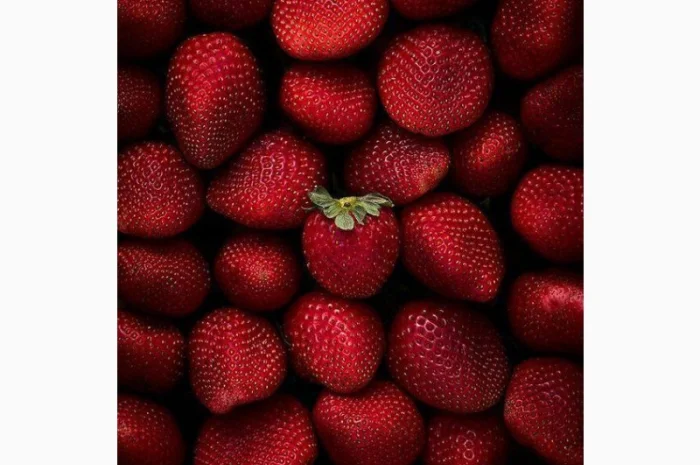 Куплю оптом полуницю, купляємо по всій Україні- фото № 1