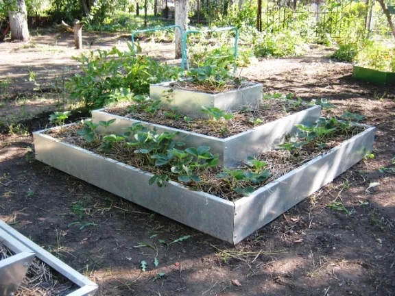 Пирамида под клубнику 3х ярусная- фото № 1