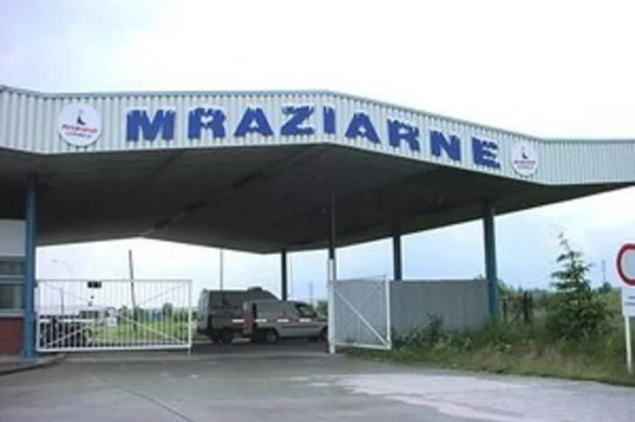 Купуємо морожену полуницю в Словаччину- фото № 1