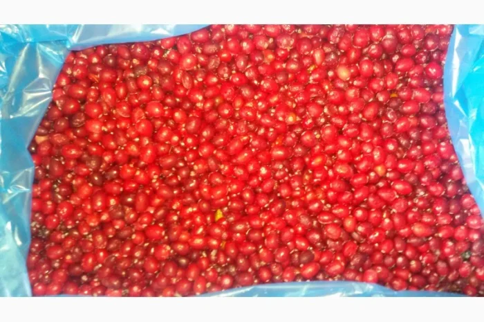 Клюква Журавлина очищенная замороженная- фото № 1
