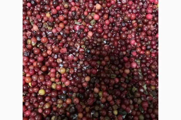 Продам журавлину прес заморожену- фото № 1