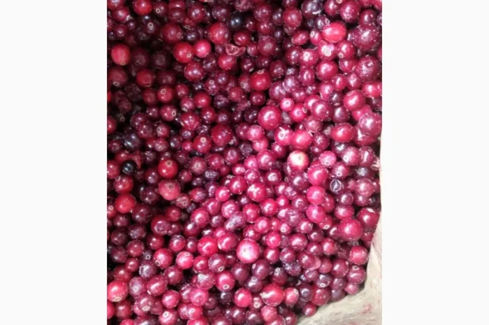 Продам журавлину морожену Б-класу- фото № 1