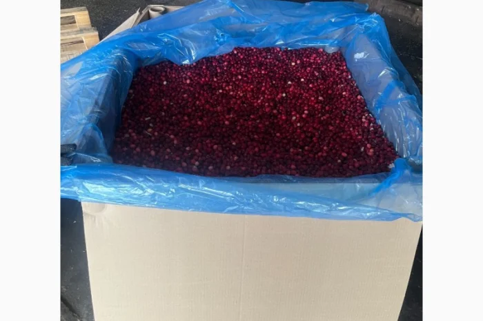 Продам заморожену журавлину Канада- фото № 1