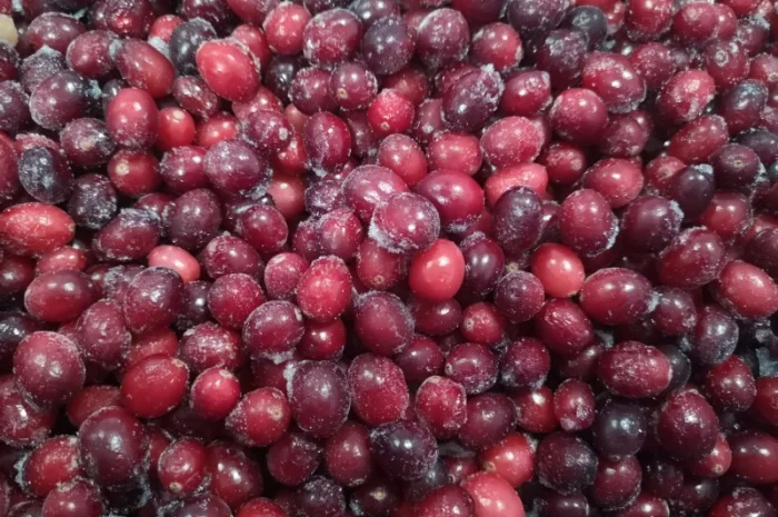 Продам журавлину заморожену Канада- фото № 3