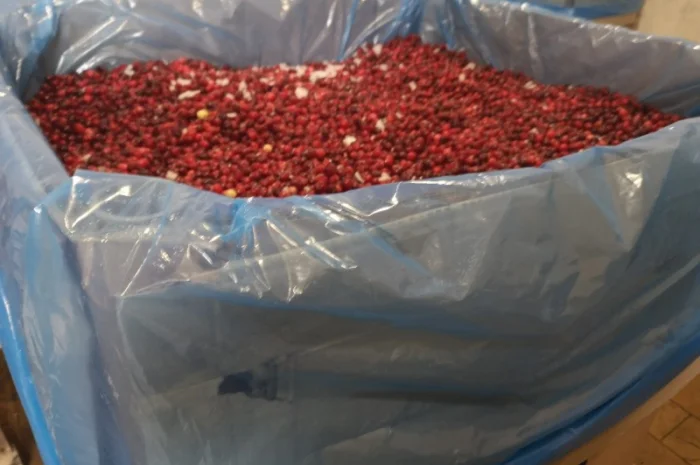 Продам журавлину заморожену Канада- фото № 4