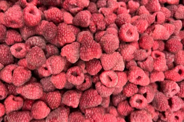 Продам клюкву (журавлину )врожай 2023року- фото № 5