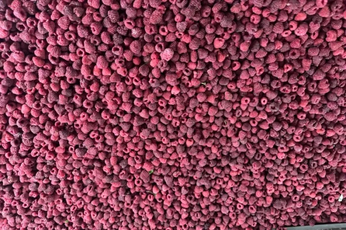 Куплю заморожену малину, оригінал, 80/20, грис- фото № 1