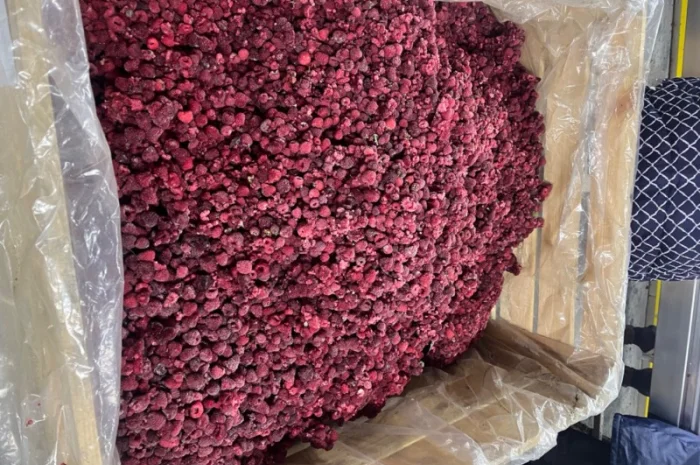 Продам малину, гриз малини- фото № 1