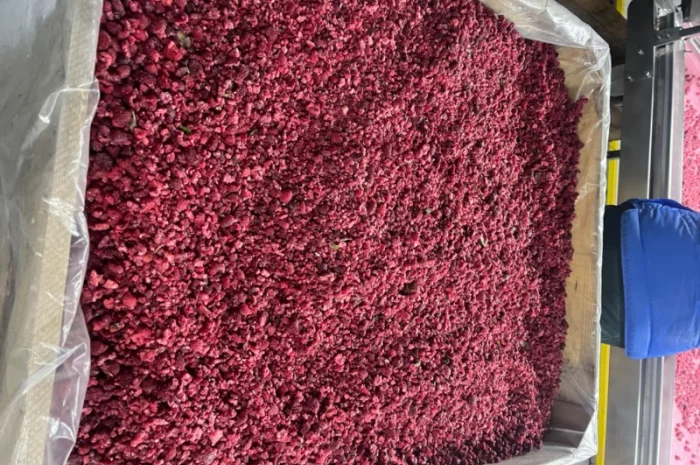 Продам малину, гриз малини- фото № 2