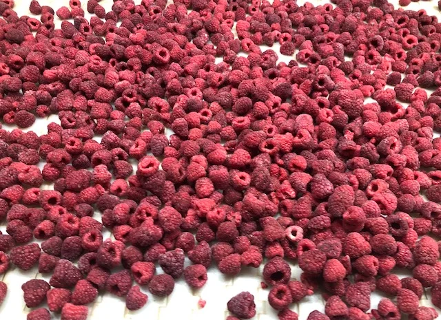 Куплю мороженую малину. Сбор 2025 минимум от 20 МТ- фото № 1