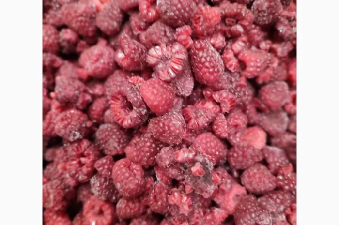 Продается малина грис, пакет 25 кг- фото № 1