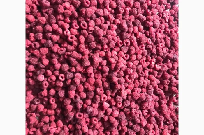 Продам малину заморожену 80/20 оптом від 10 тонн- фото № 2