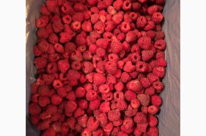 Закупаем замороженную малину- фото № 1