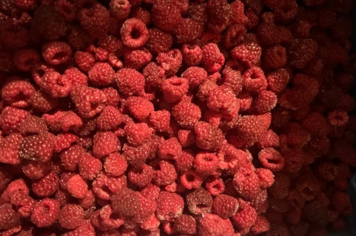 Куплю малину цілу, та гриз- фото № 1