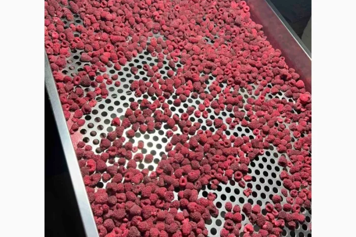 Куплю. Малина.заморожена 80/20, 90/10, грис- фото № 1