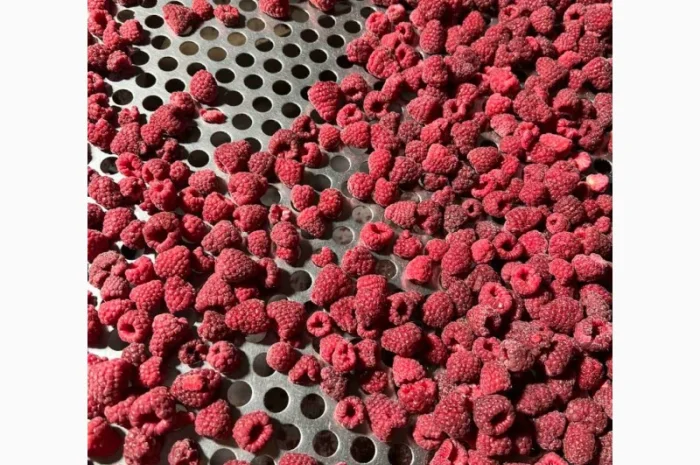 Куплю. Малина.заморожена 80/20, 90/10, грис- фото № 2