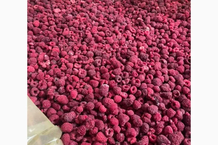 Заморожена малина- фото № 1