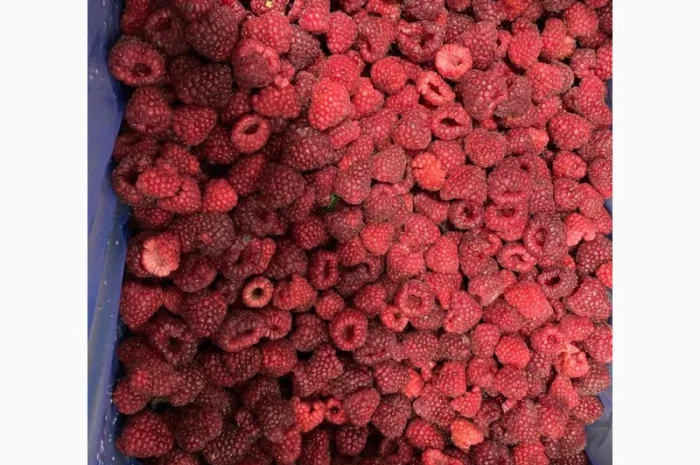 Продается замороженная малина в гофроящике- фото № 1