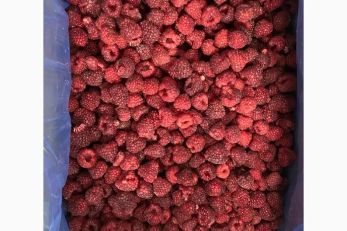 Продается замороженная малина в гофроящике- фото № 2