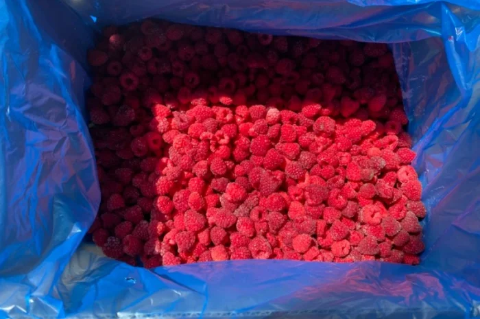 Продается замороженная малина в гофроящике- фото № 3