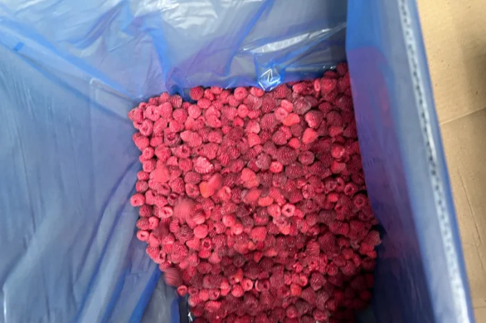 Продается замороженная малина в гофроящике- фото № 4