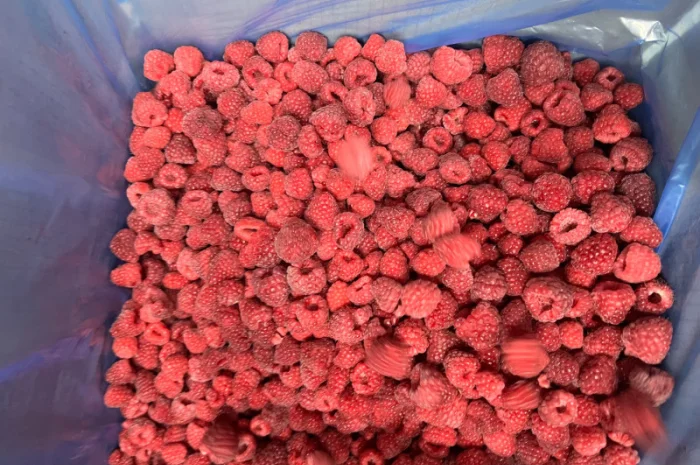 Продается замороженная малина в гофроящике- фото № 5
