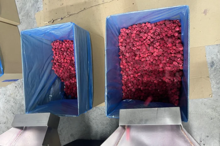 Продается замороженная малина в гофроящике- фото № 6