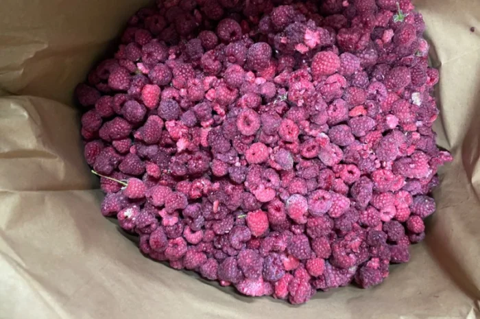 Замороженная малина грис оптом- фото № 1