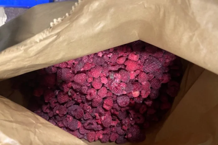 Замороженная малина грис оптом- фото № 2