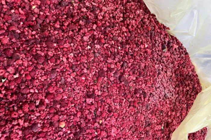 Замороженная малина грис оптом- фото № 3