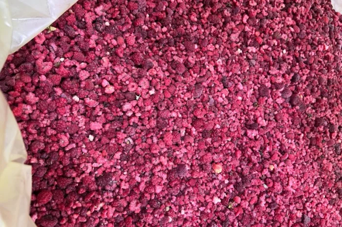 Замороженная малина грис оптом- фото № 4