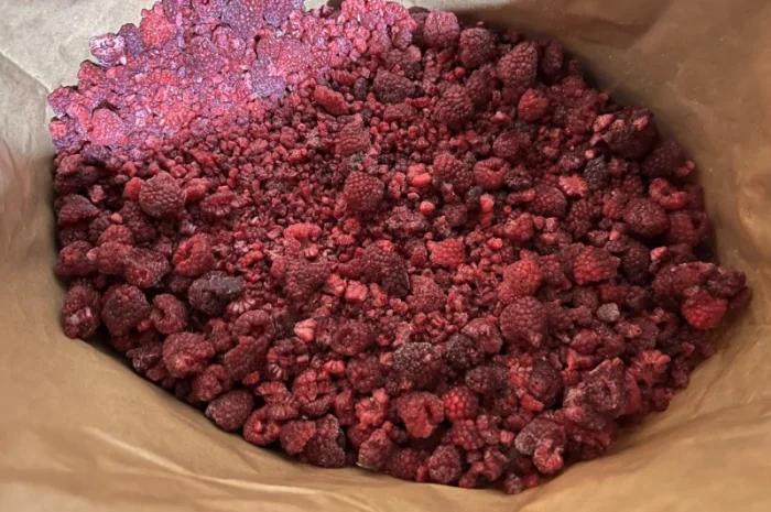 Продам Малину на грис- фото № 1