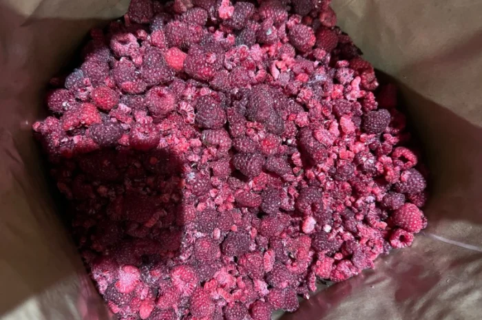 Продам Малину на грис- фото № 3