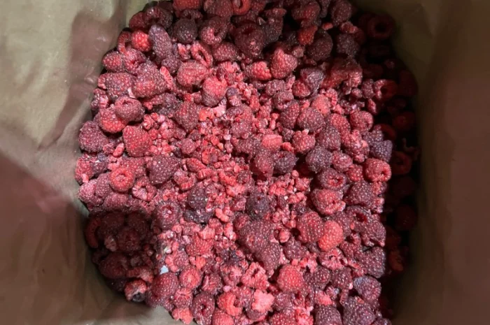 Продам Малину на грис- фото № 4