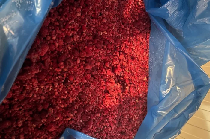 Продам грис малини- фото № 2