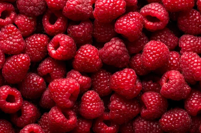 Продам свіжу малину- фото № 1