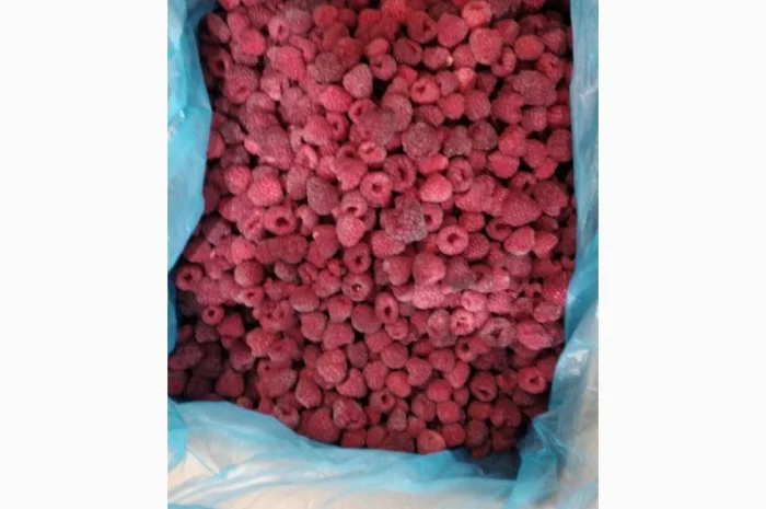 Купимо в об'ємі малину, дорого, в (на переробку та заморозку)- фото № 1