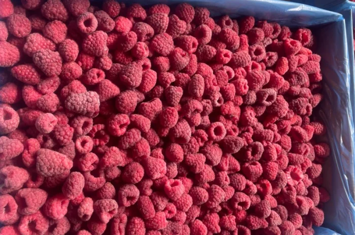 Малина заморожена 80/20- фото № 1