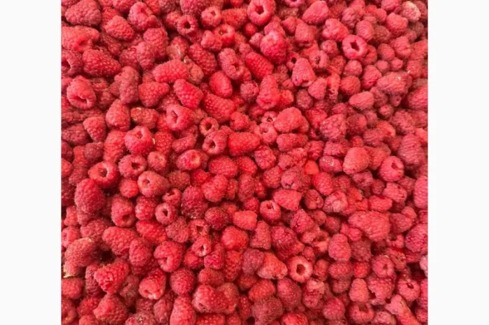 Купую морожену малину оптом- фото № 1