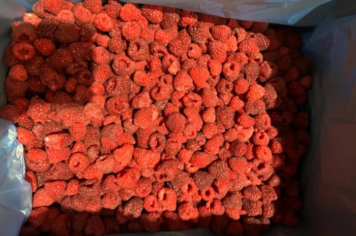 Продам малину оригінал, 80/20 та гриз- фото № 1