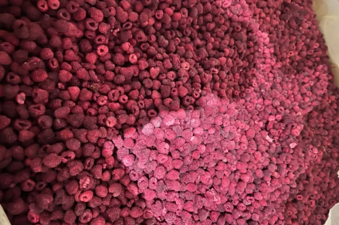 Продам малину оригінал, 80/20 та гриз- фото № 5