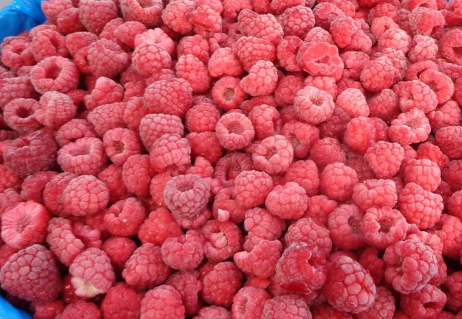 Продам замороженную малину оптом- фото № 1