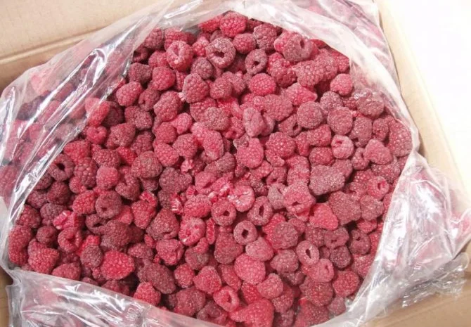 Продам малину оптом а, б клас- фото № 1