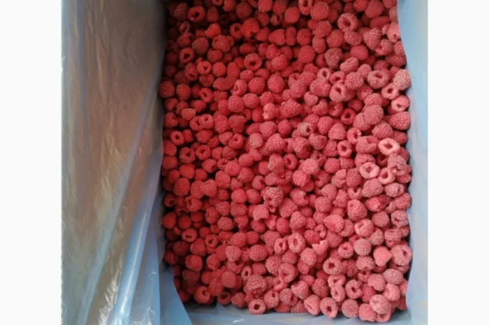 Продам малину- фото № 1